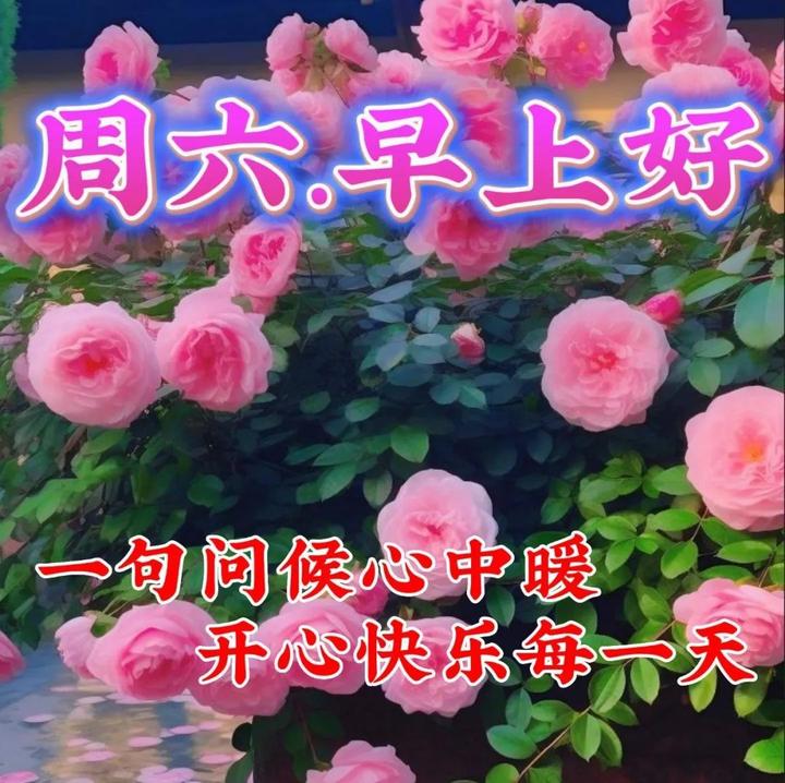 7月29日周六早上好周末早安好看祝福语图片 - 知乎