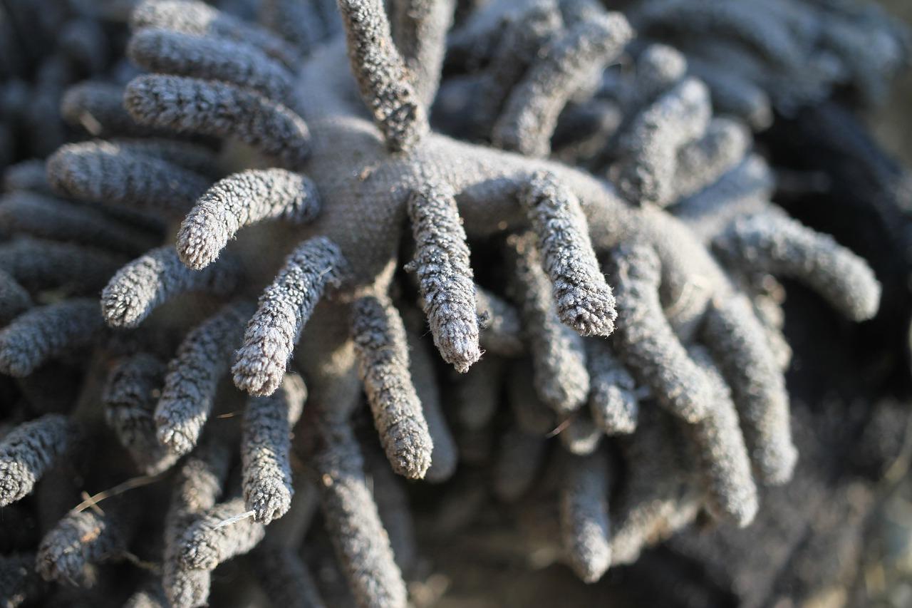 怎么更换胶棉拖把头