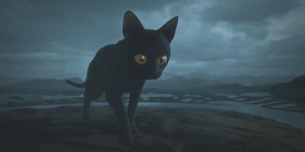 《猫猫的奇幻漂流》100%好评,2024神作,全片无台词的它凭什么?