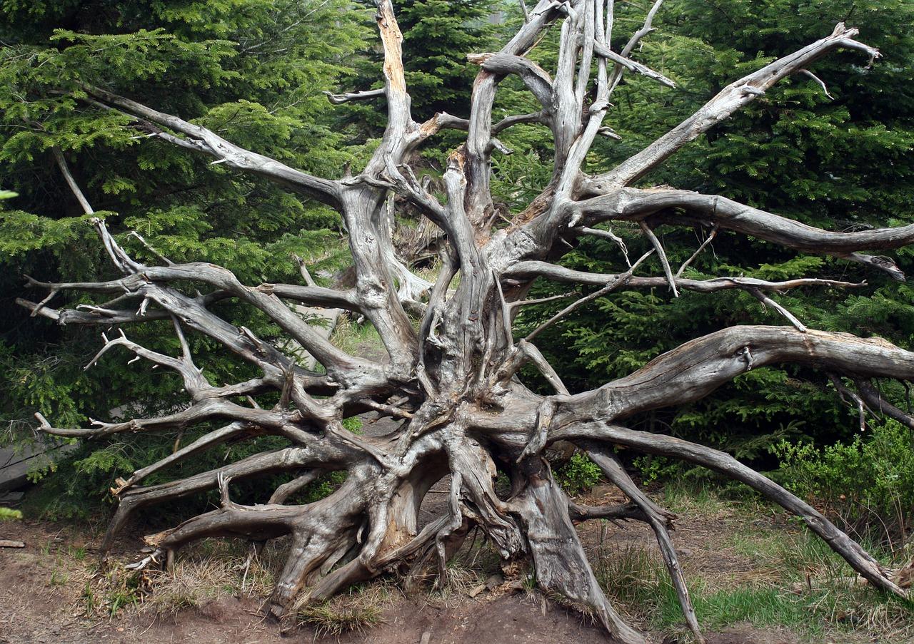 两根线的电话怎么接