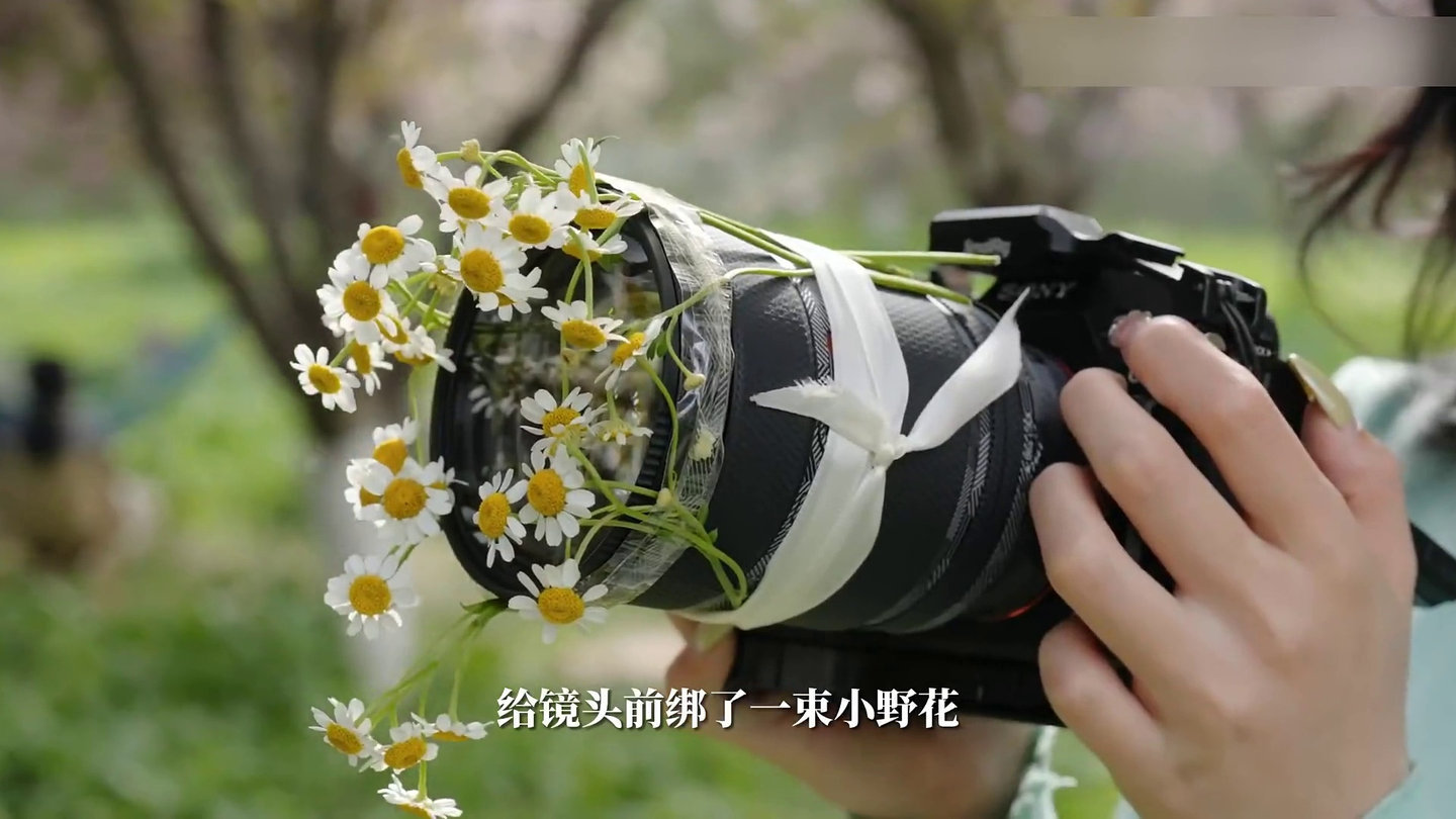 【人像邪修】当我尝试把花🌻绑在镜头上拍照,每张照片都是春天的感觉 | 卓尔熠 Pro UV滤镜
