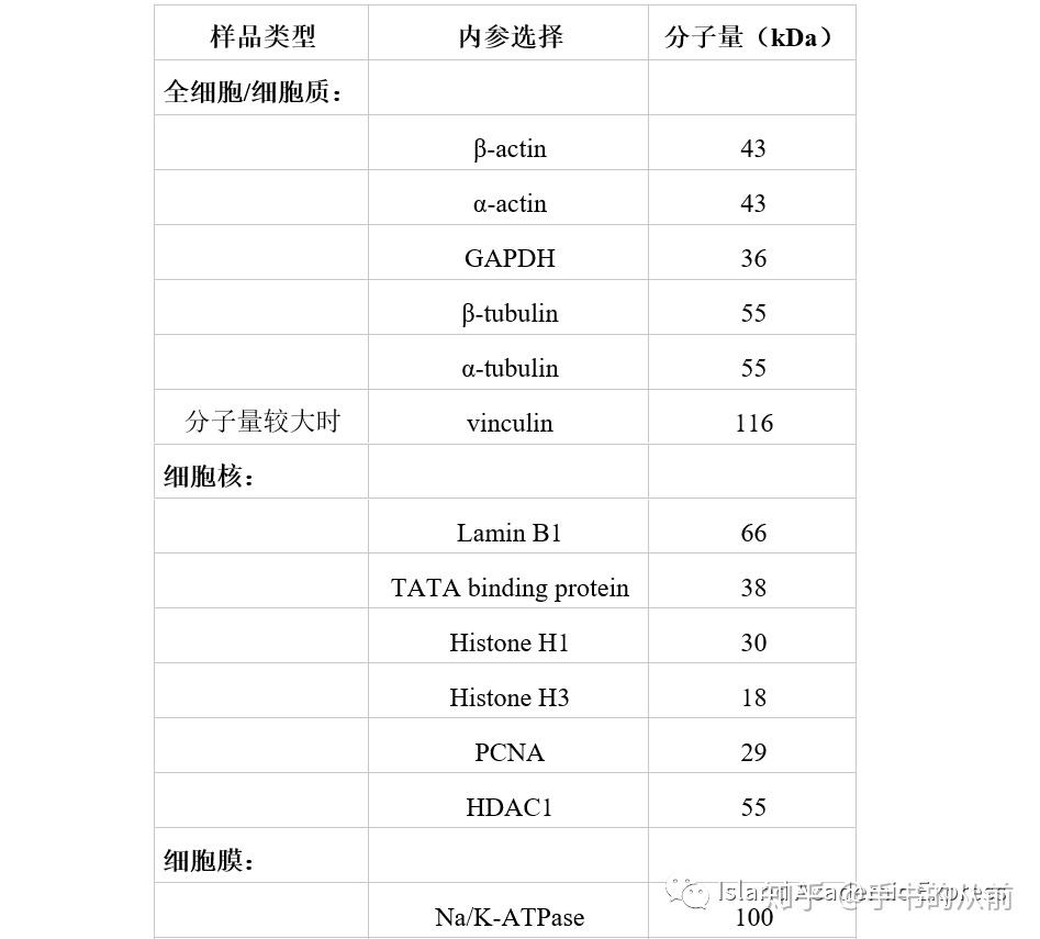 老司机手把手教你选WB内参 - 知乎