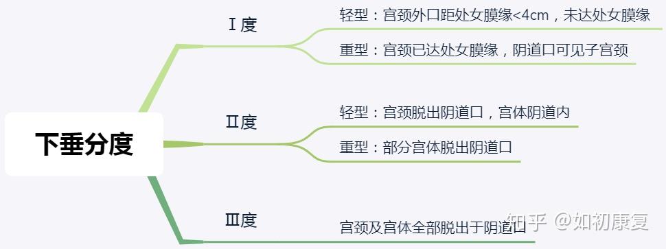 如何理解盆腔器官脱垂的popq分度