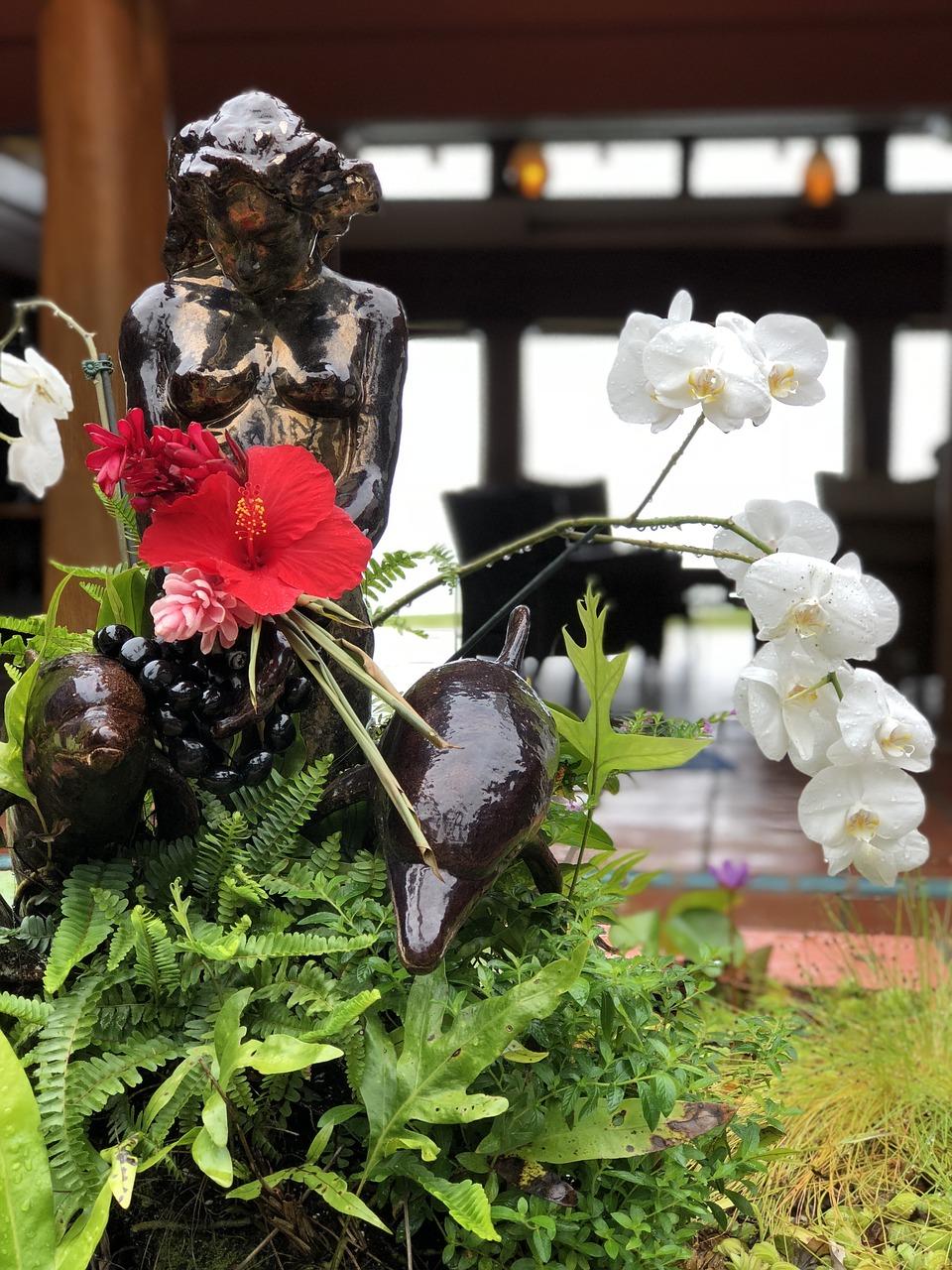 茉莉雅苑对口什么小学