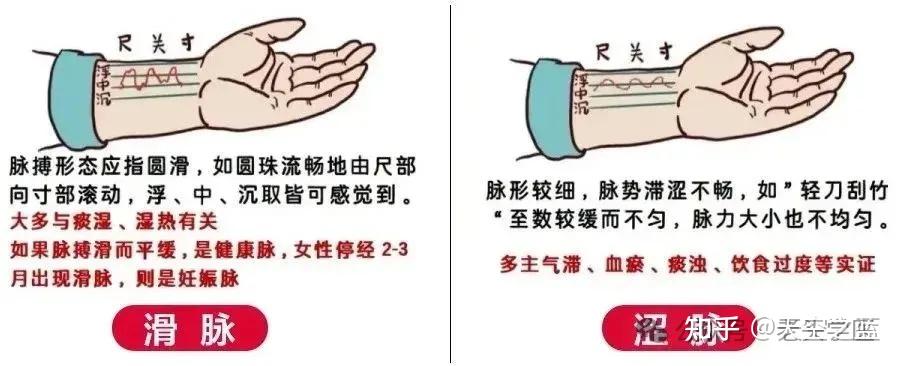 中医的“把脉”是什么原理? - 知乎