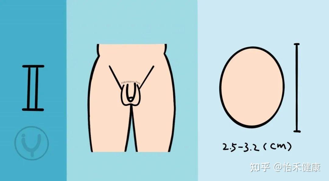 男生青春期发育时期都有哪些经历
