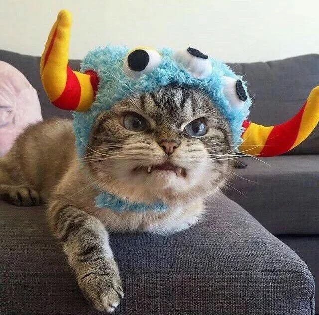 有没有什么惊艳的微信头像?-特别惊艳到人的微信头像