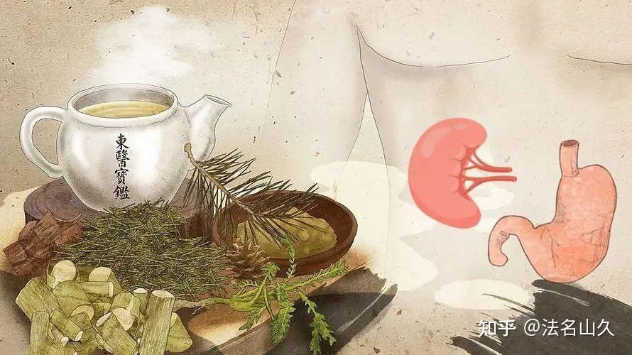 【道医养生】脾胃亏虚,百病由生!一张古方,祛寒湿,温脾胃,还能治虚胖! - 知乎