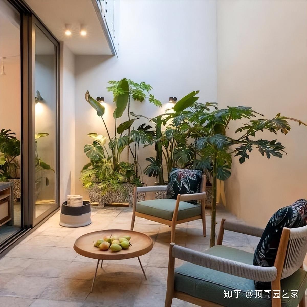 院子再小也要精致!5种布局方案,实用又好看 - 知乎