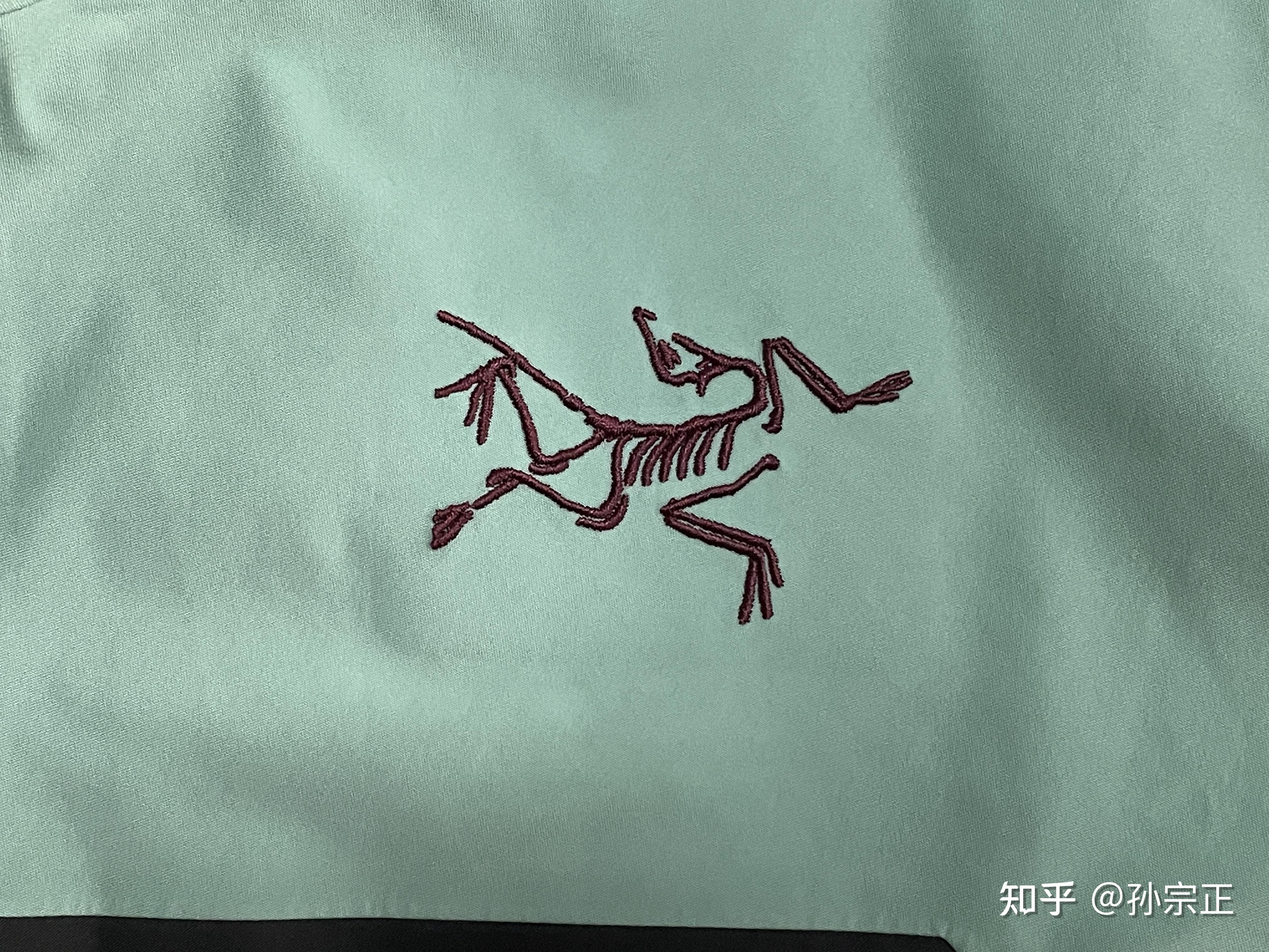 始祖鸟(arcteryx) rush滑雪夹克怎么样? - 知乎