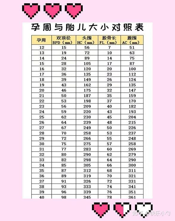 21周胎儿的大小是多少