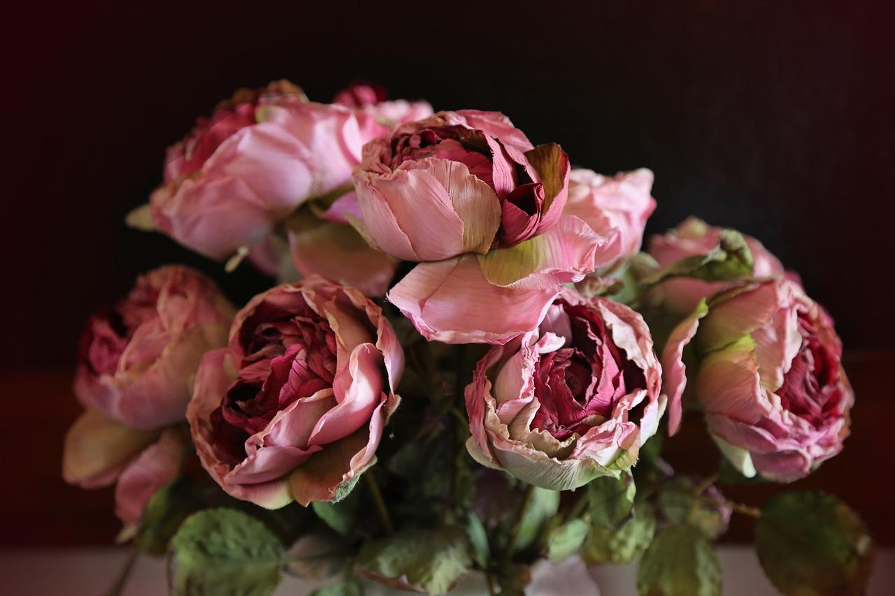 4. 纸折郁金香图解