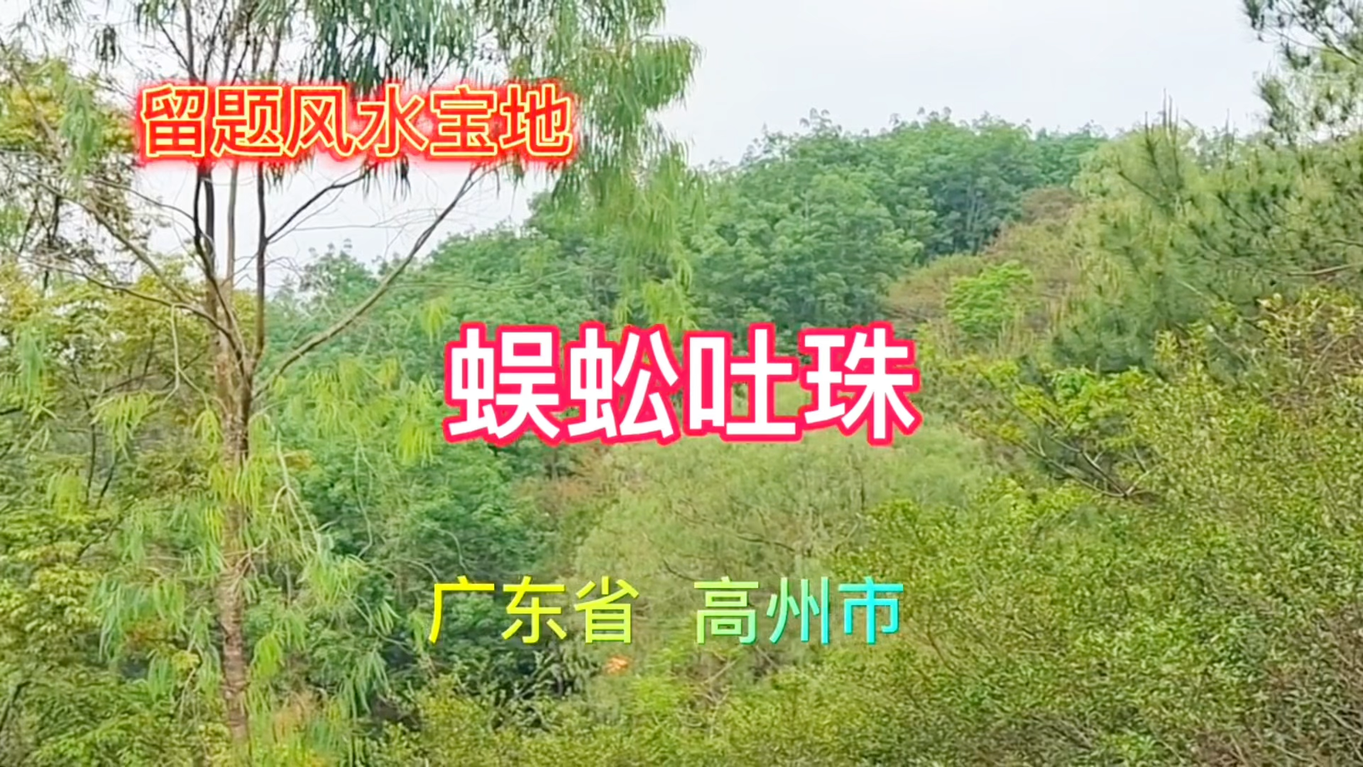 蜈蚣吐珠广东省高州市世界华人十大风水大师刘竞锋老师应邀现场点穴