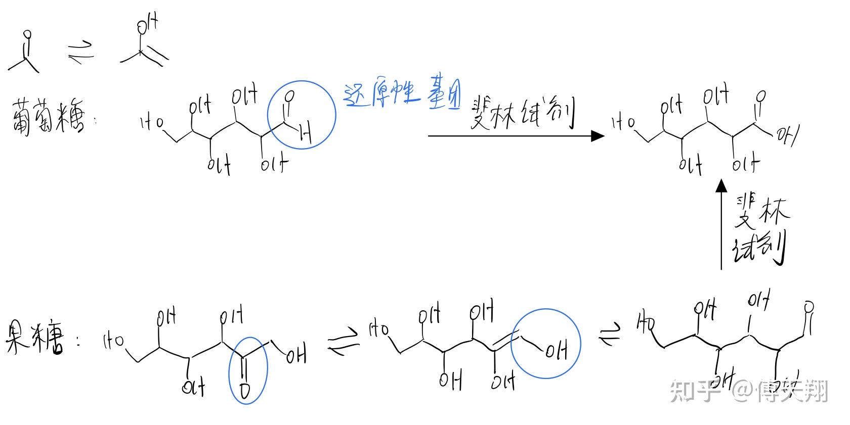 果糖是如何与斐林试剂反应的
