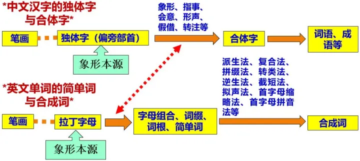 英语词根的作用是什么? - 知乎