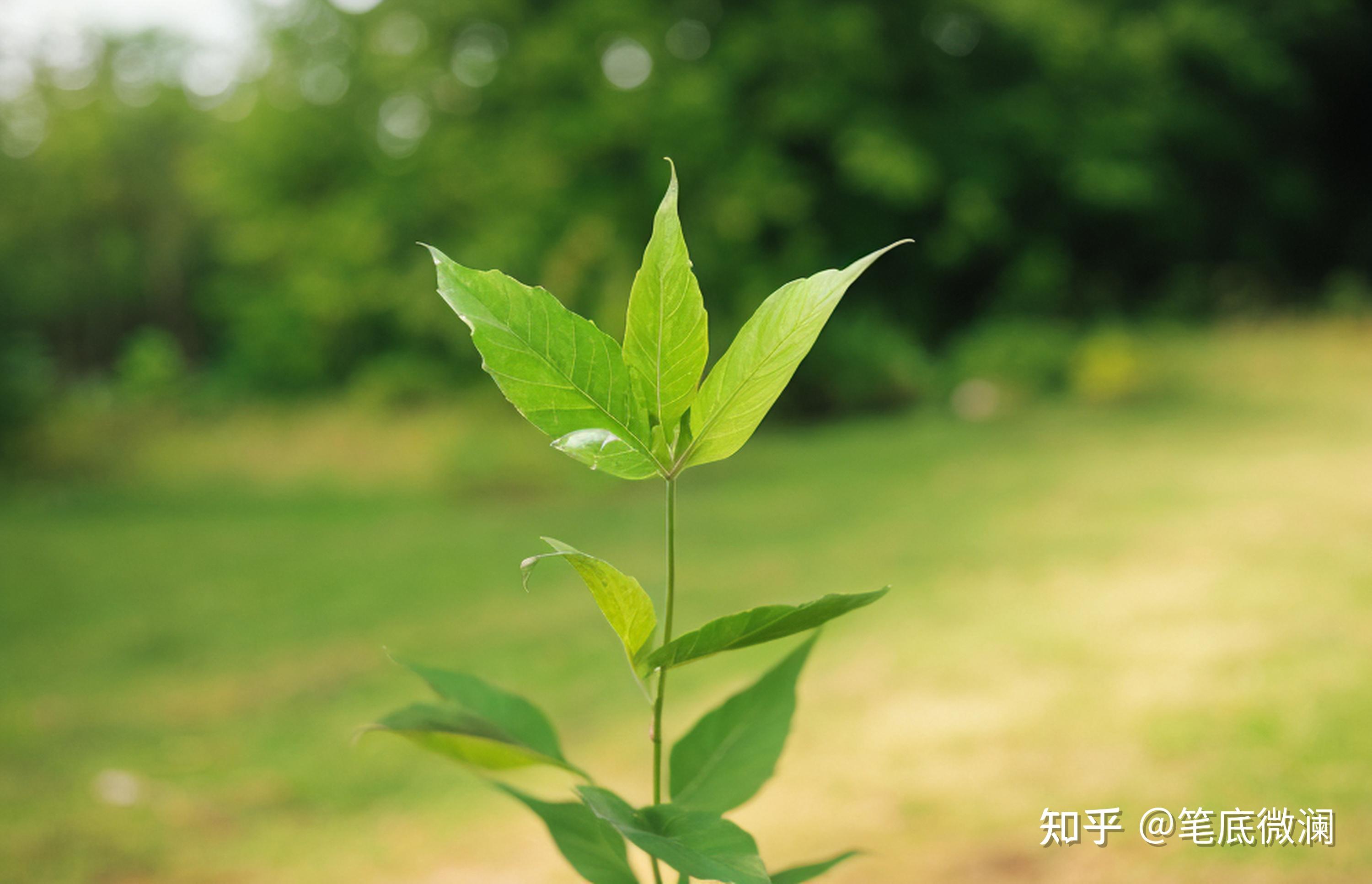 有什么正能量的励志句子分享