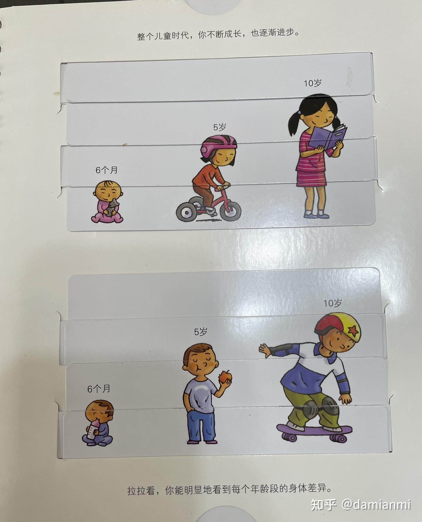 3-6岁科普绘本系列4：我们的身体- 知乎