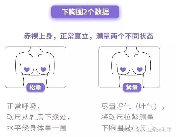 上胸围8685下胸围68是什么罩杯该怎么卖