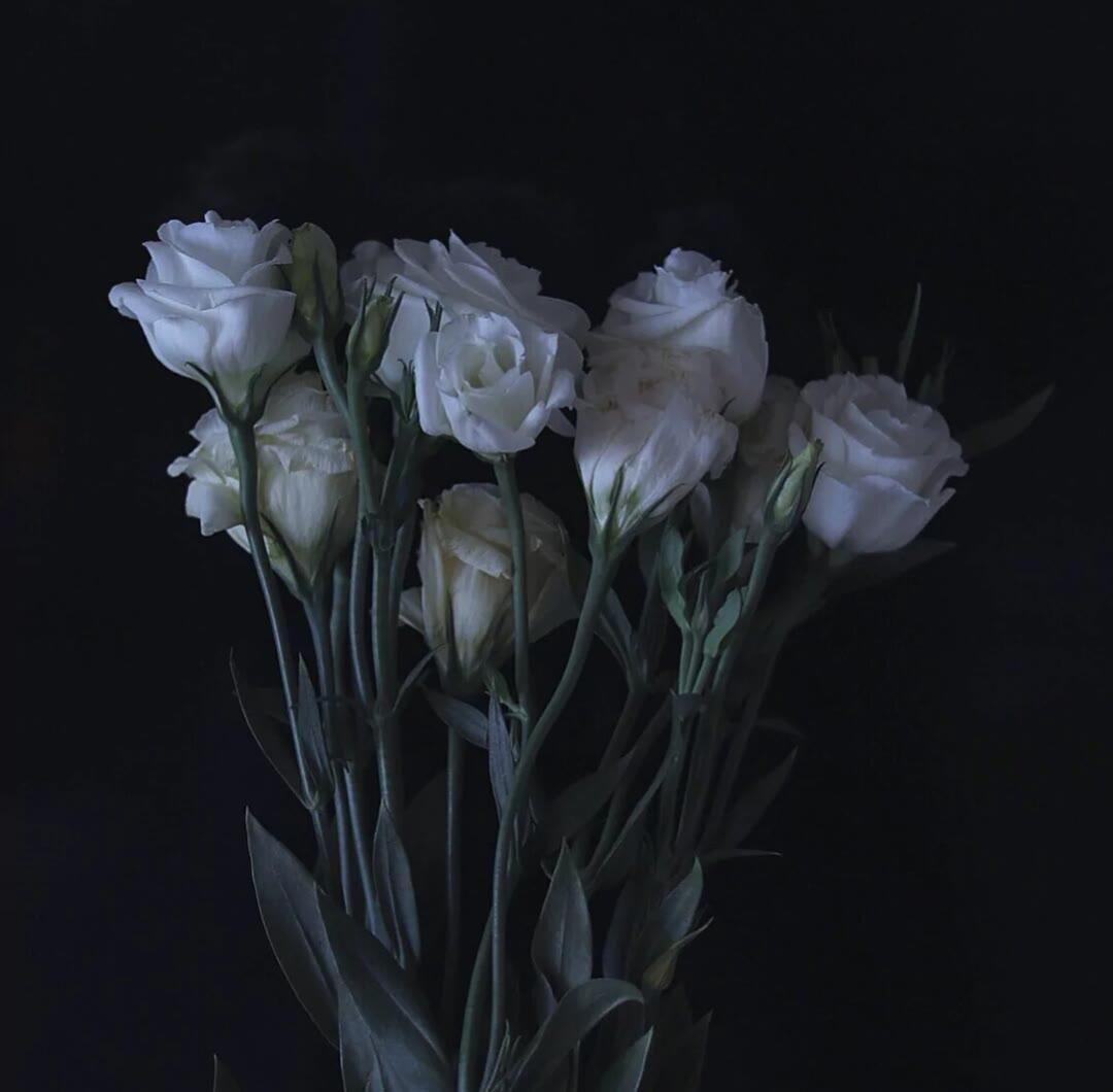 有什么配图的高级感朋友圈文案吗字数精炼不要太矫情