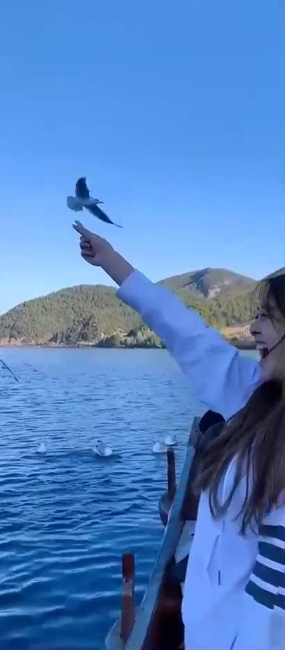 兄弟们有skyzen僵尸娘资源能分享一下吗谢谢啦啊啊啊啊