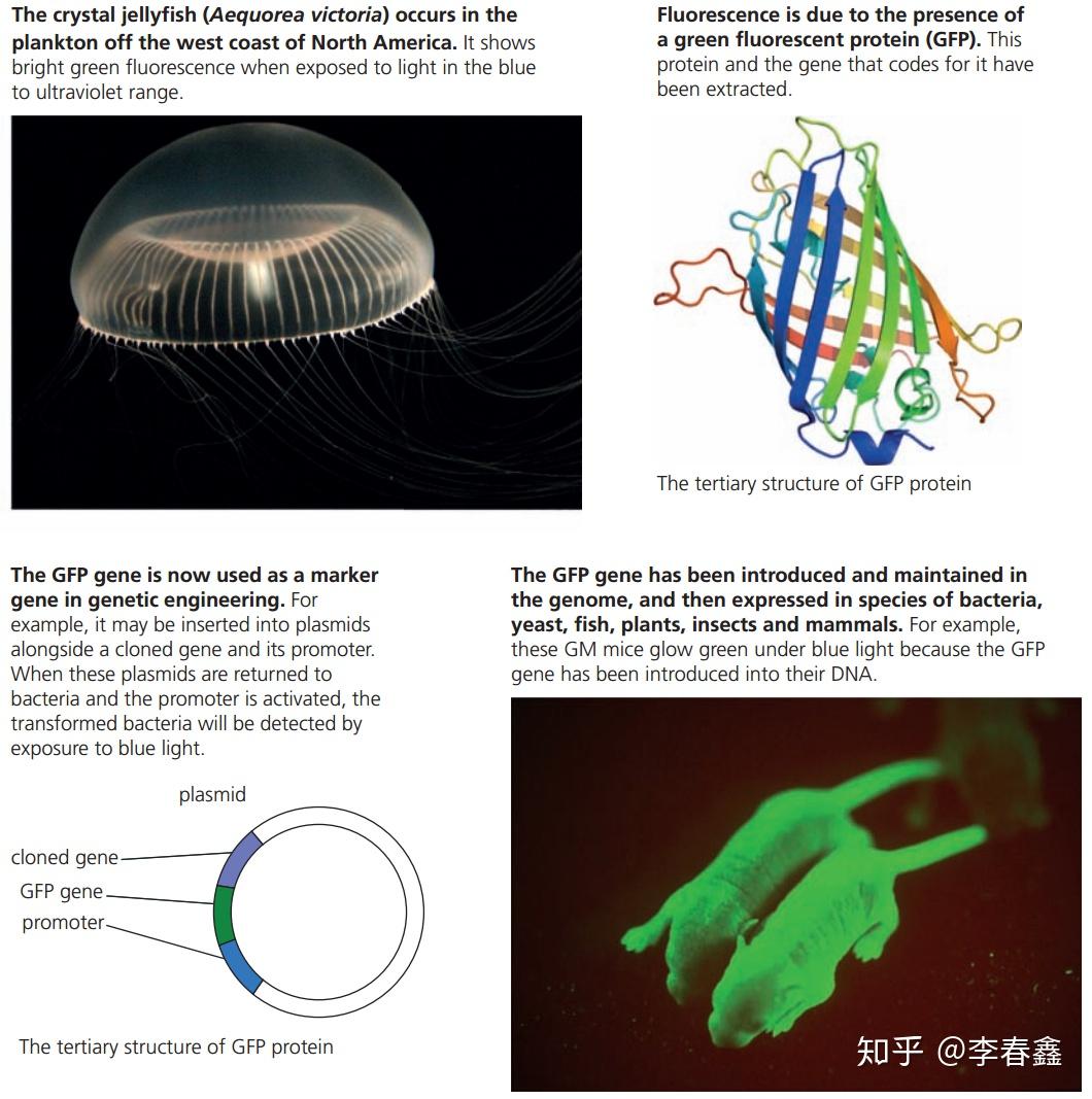 Topic 3.5 Genetic modification and biotechnology - 知乎