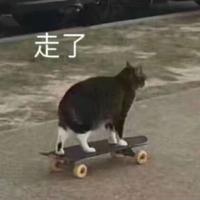 Zhihu profile picture for @cables