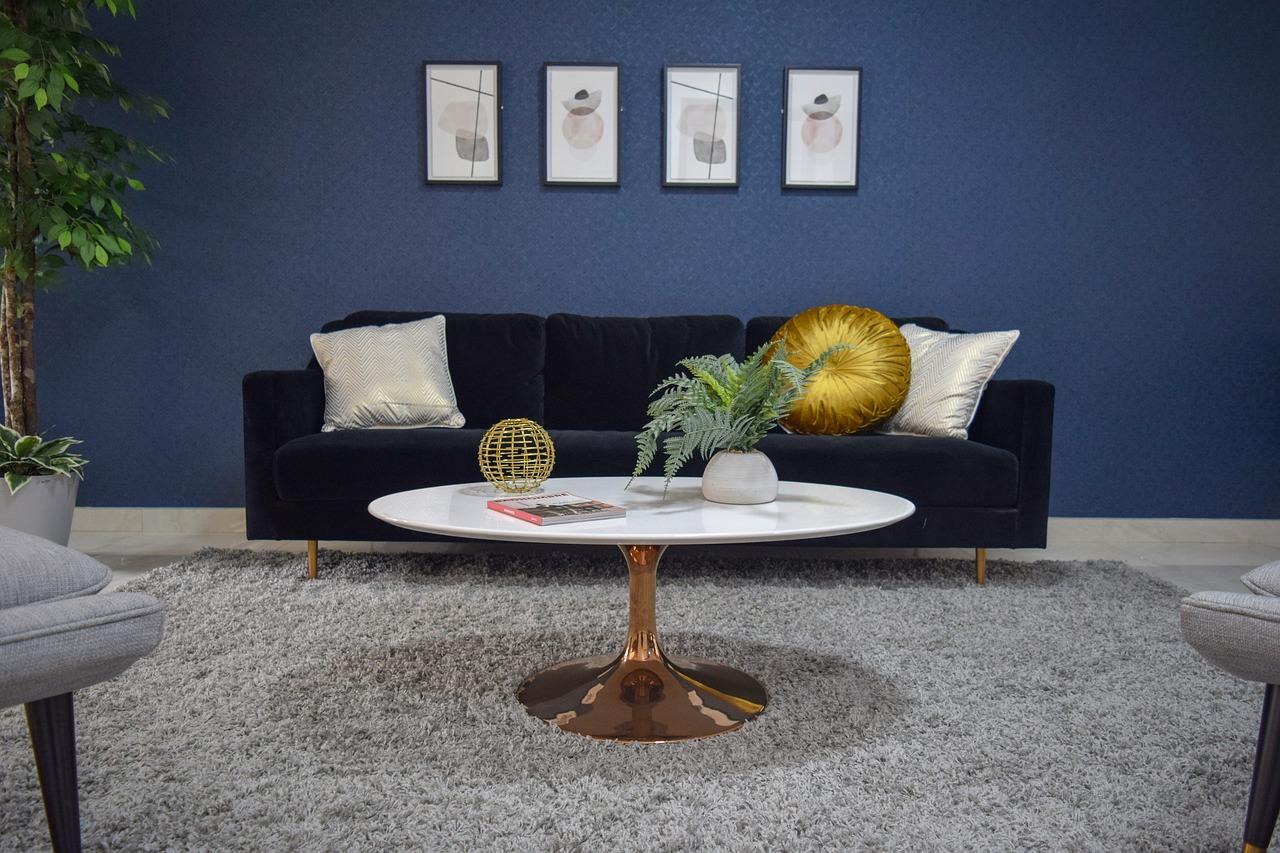 客厅朝北放什么植物