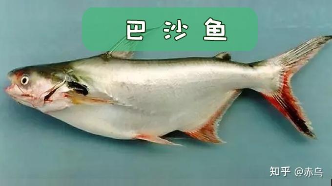 如何评价unicode或将收录⿰94也与⿰男也字