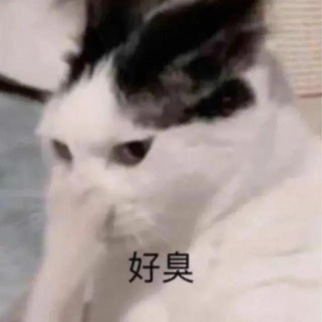 常用表情包合集 - 知乎