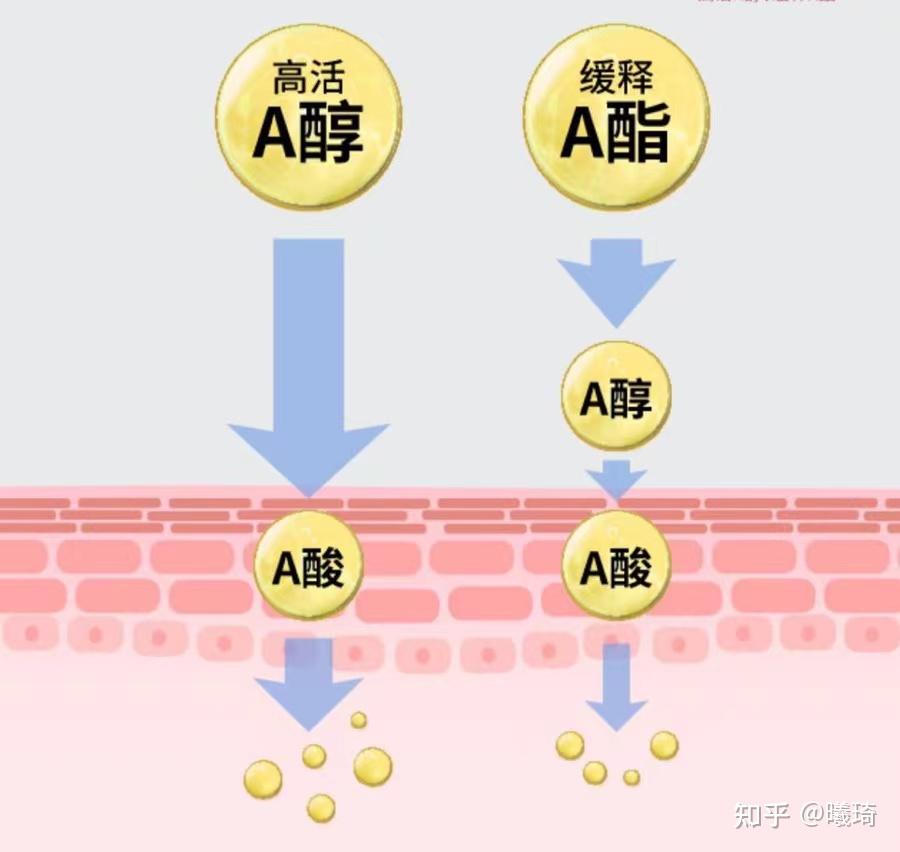 它还有很多衍生物,比如视黄醇棕榈酸酯,简称a酯~a醇和a酯都可以深入到