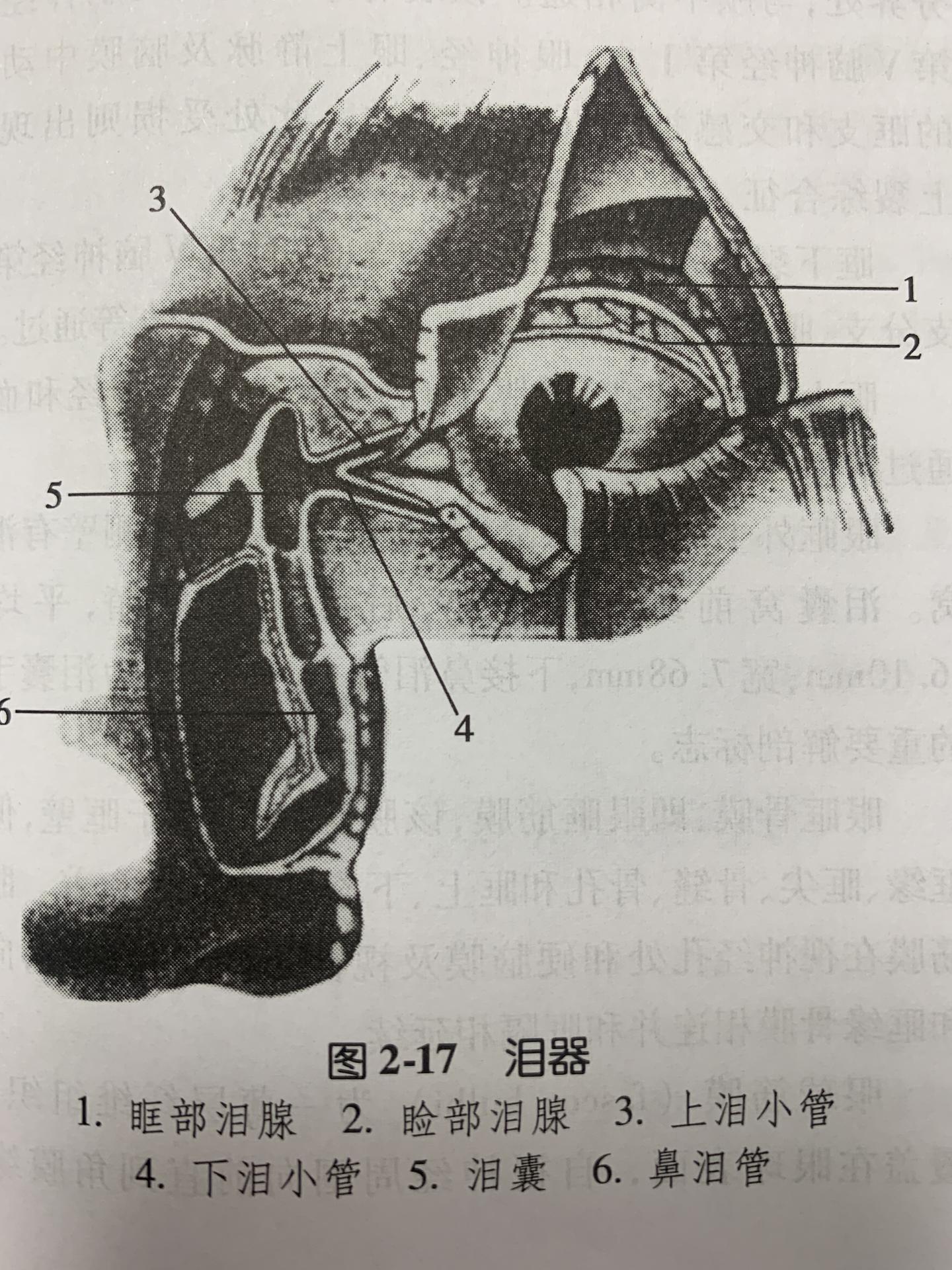 泪道冲洗操作流程及相关知识 - 知乎