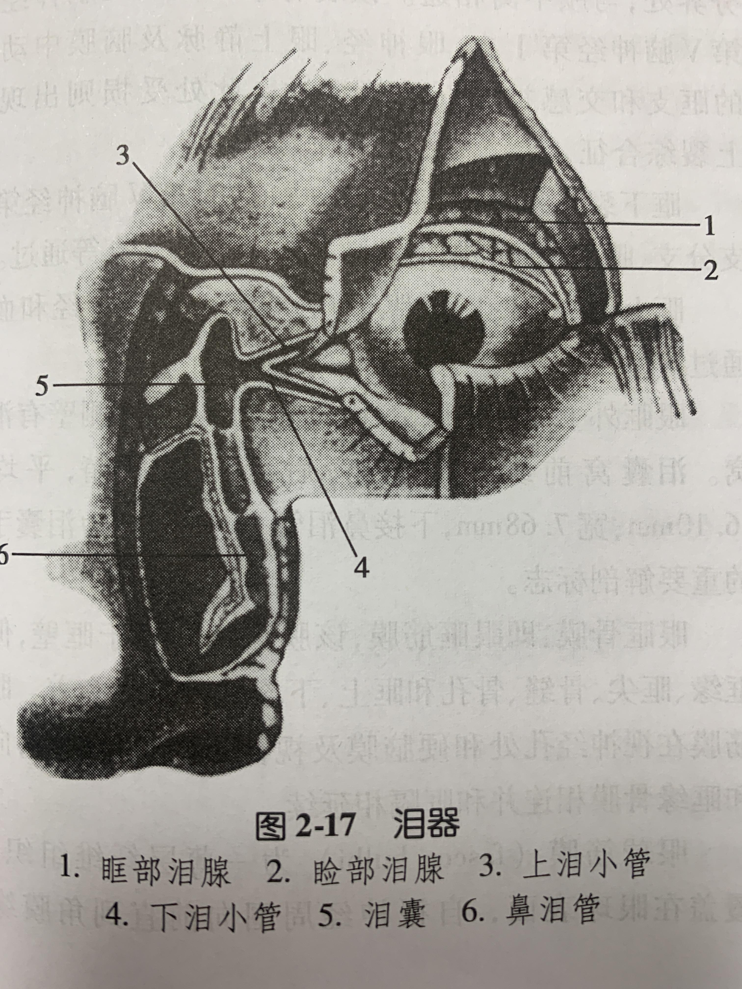 泪道冲洗操作流程及相关知识 - 知乎