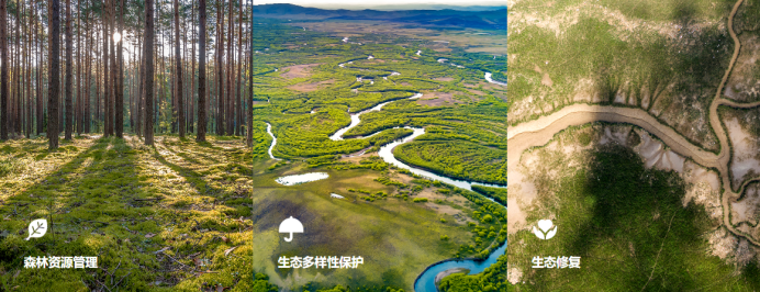 从像素到林地：语义分割算法如何解决传统林业调查的效率难题？ - 知乎