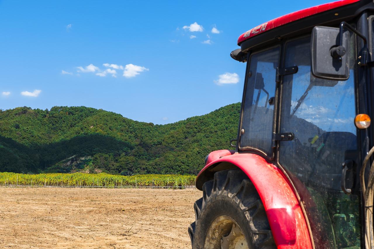 金浦花园怎么样