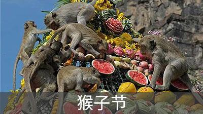 泰国猴子节
