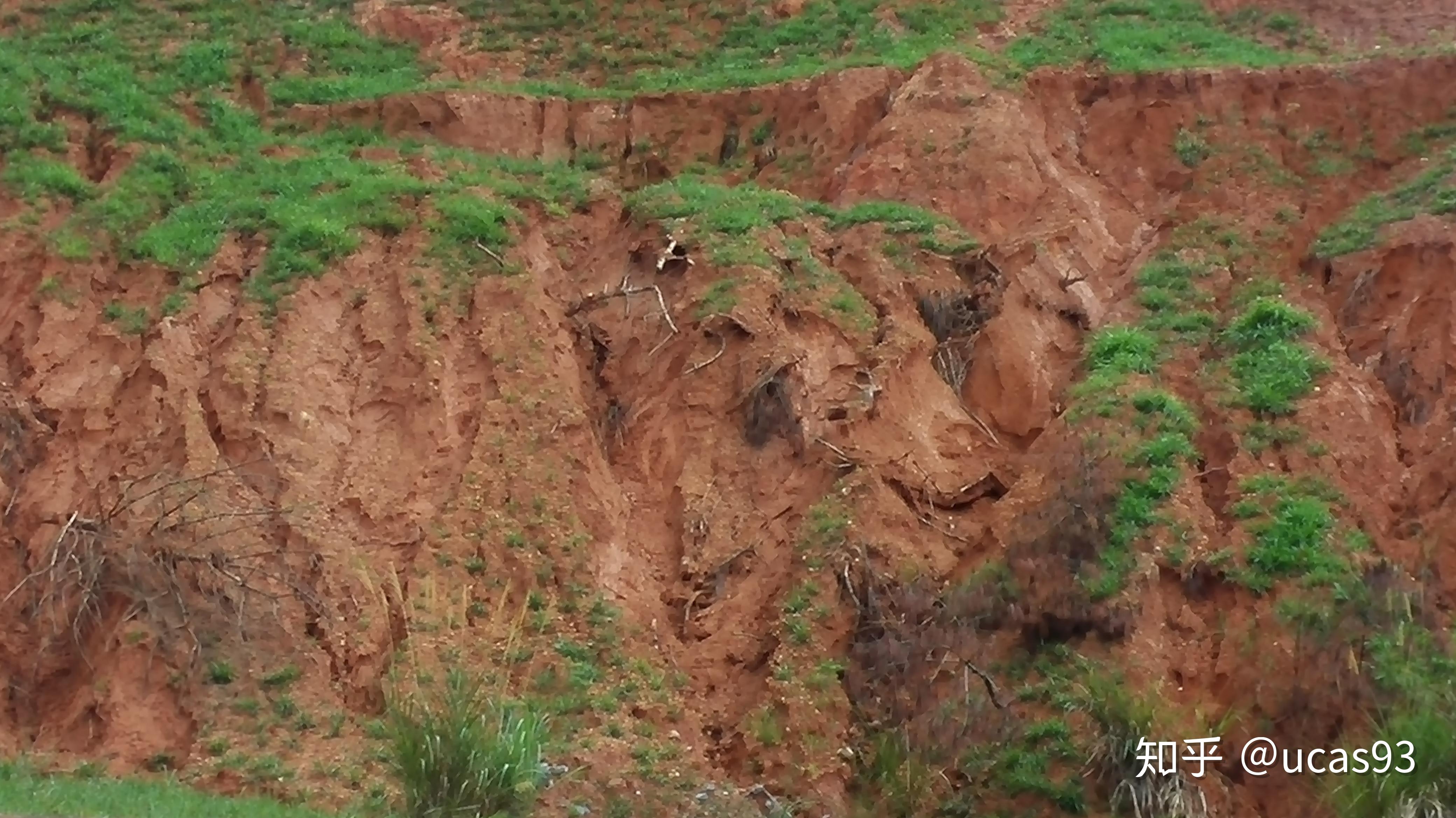 我国目前的水土流失有多严重?