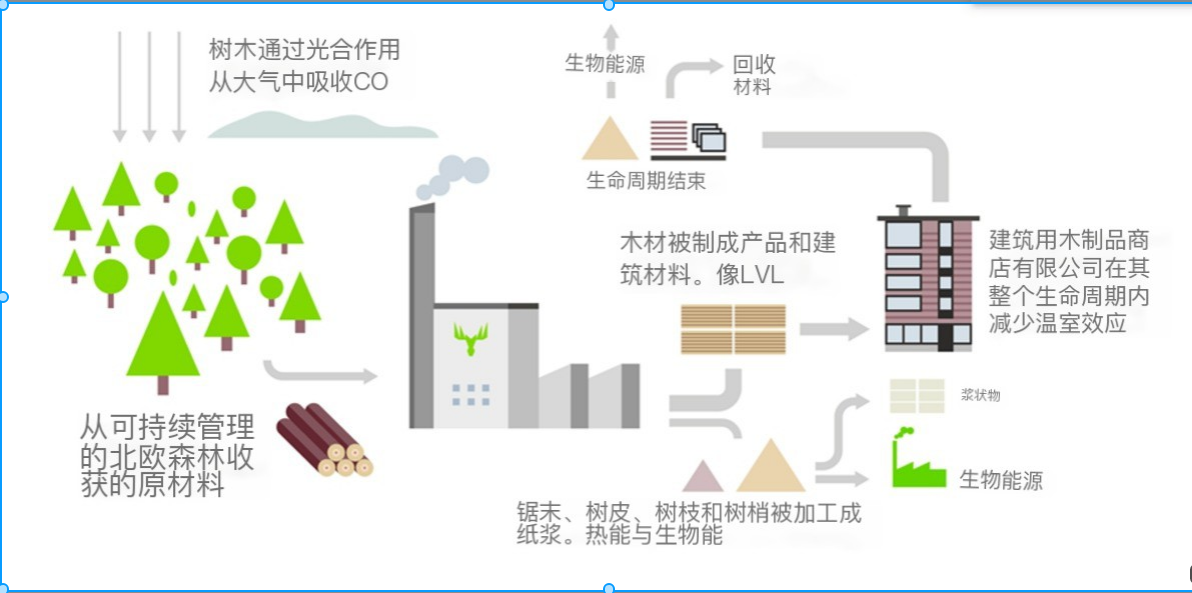 在中国碳汇怎么做