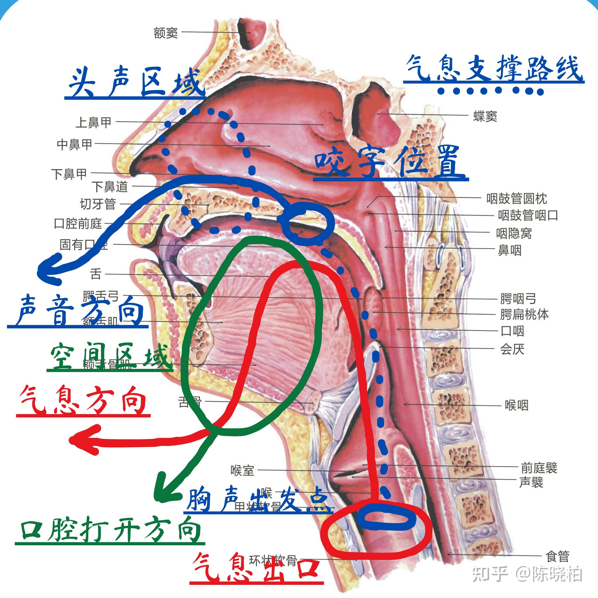 虚心请教大佬该如何练习唱歌?