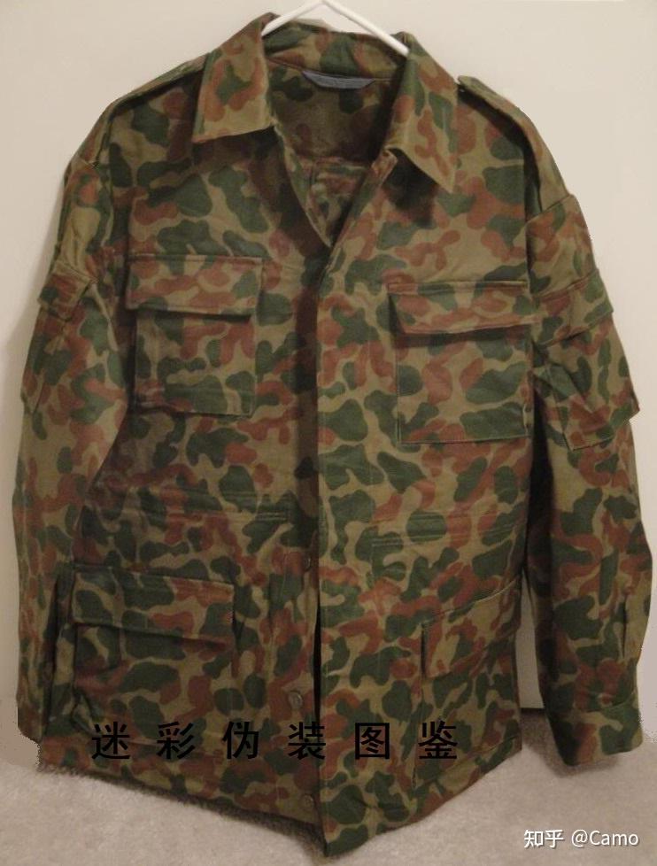 苏联/俄罗斯的ttsko(butane)迷彩有多少种花色?