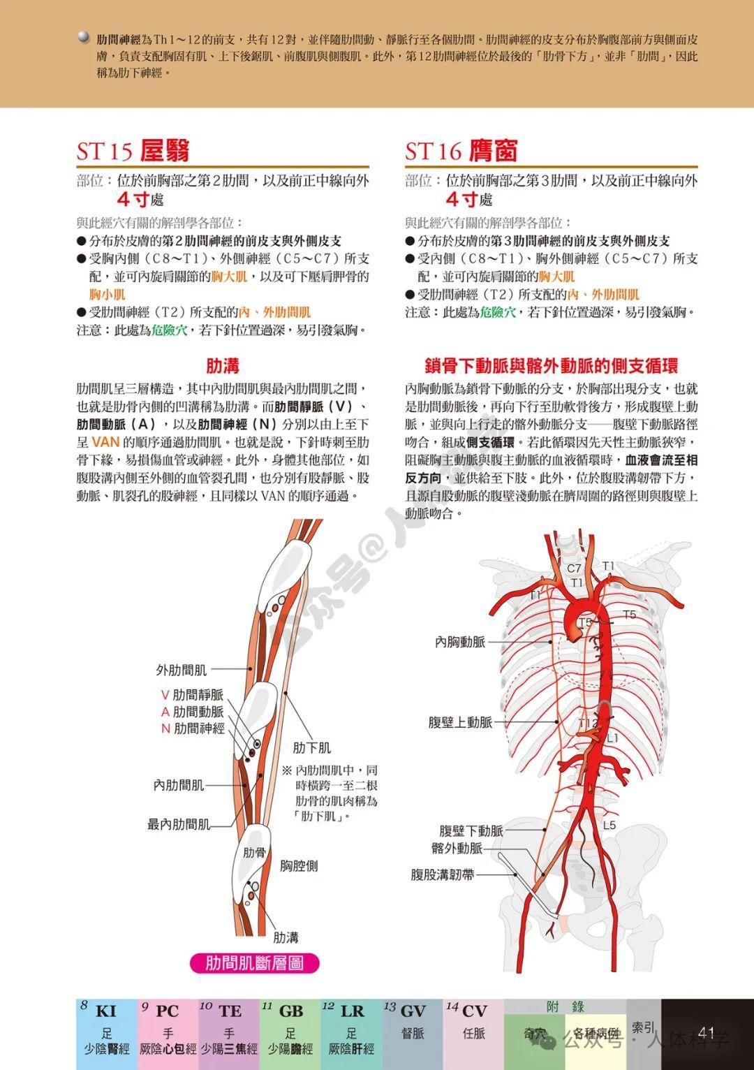 【经穴科学】中医解剖学全身穴位高清图集② - 知乎