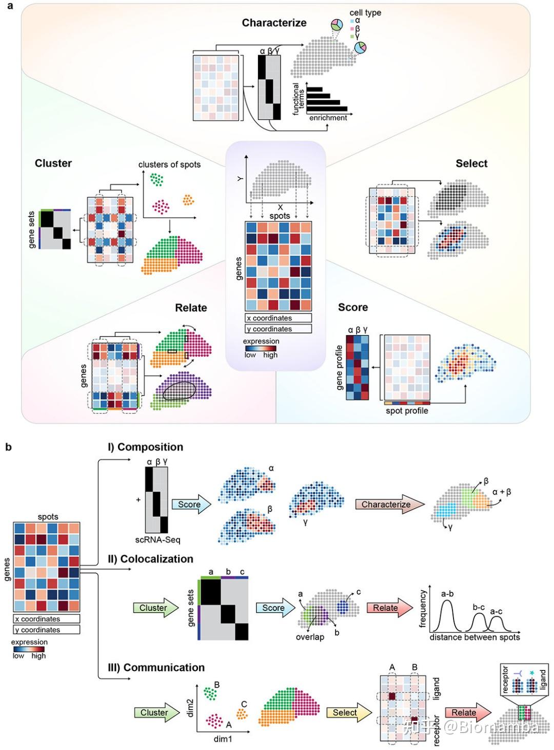 《Nature》空间转录组综述 - 知乎