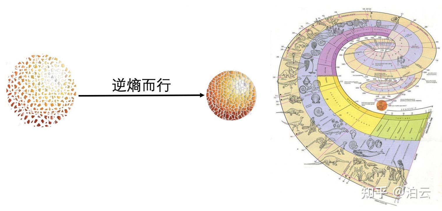 能否尽量通俗地解释什么叫做熵? - 知乎