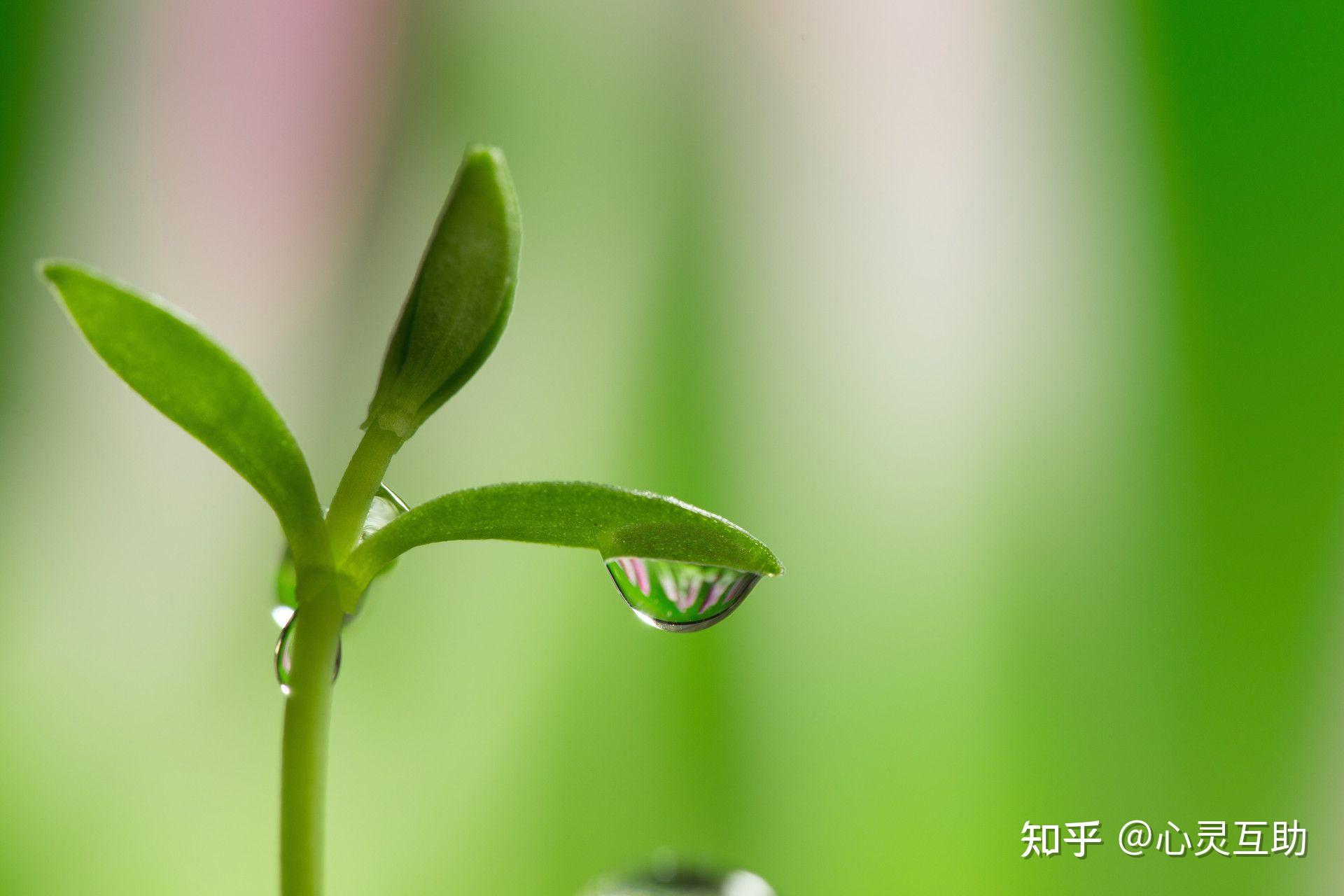 有没有特别温柔的文案?