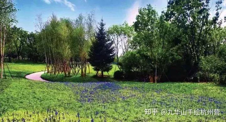深度解析——园林景观植物配置 - 知乎