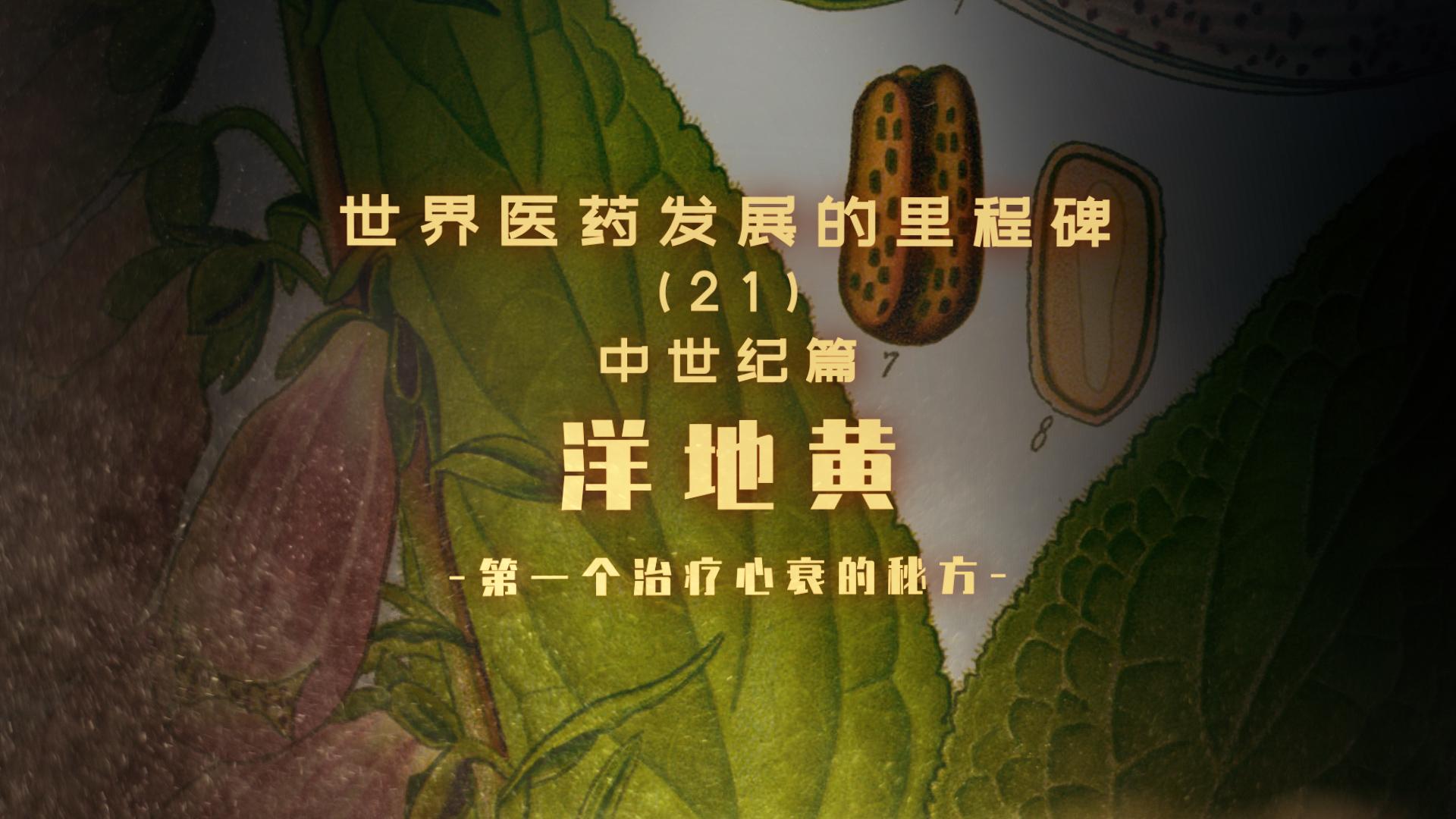 第一个治疗心衰的秘方洋地黄世界医药里程碑21