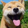 二十八画生