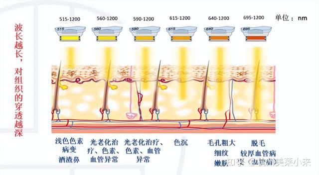 痘印的形成和类型,如何淡化痘印? - 知乎