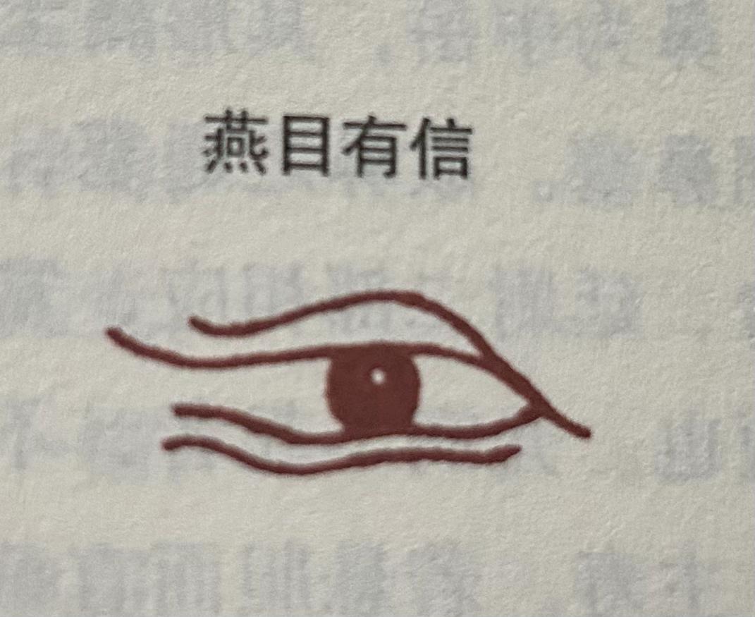 雁眼面相图片