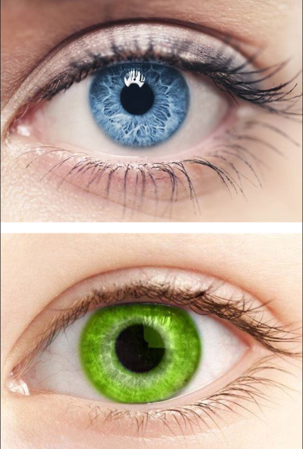 眼睛瞳孔有多少种颜色