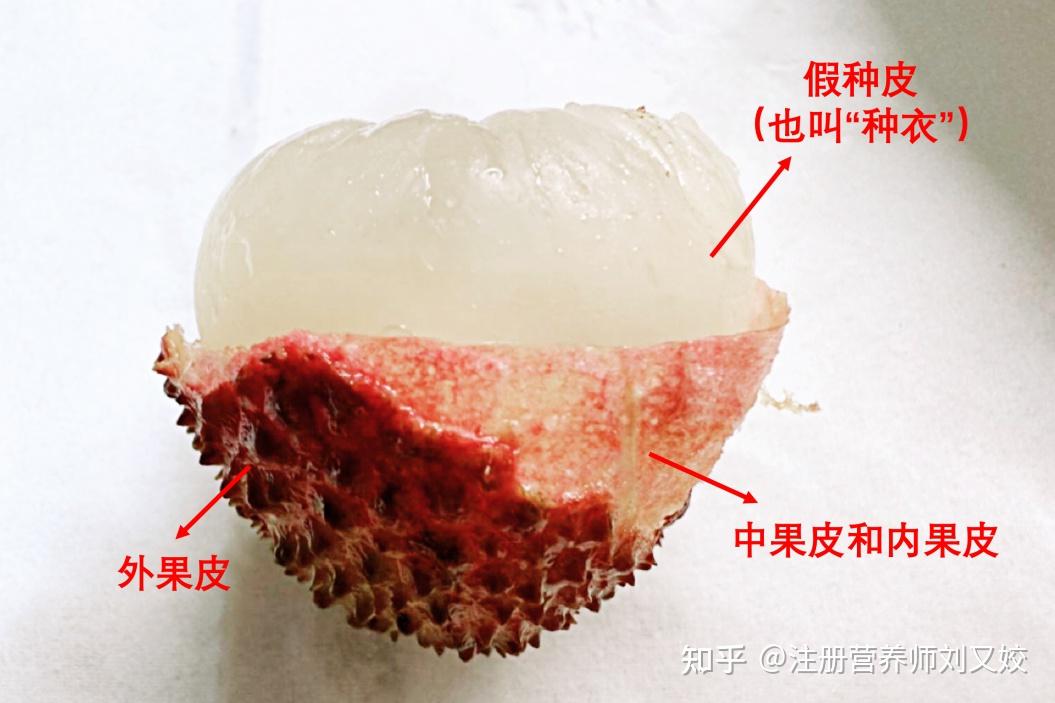 有人说透明的荔枝是「活荔枝」,奶白色的是「死荔枝」,为什么会有这种差异?在口感上区别大吗? - 知乎